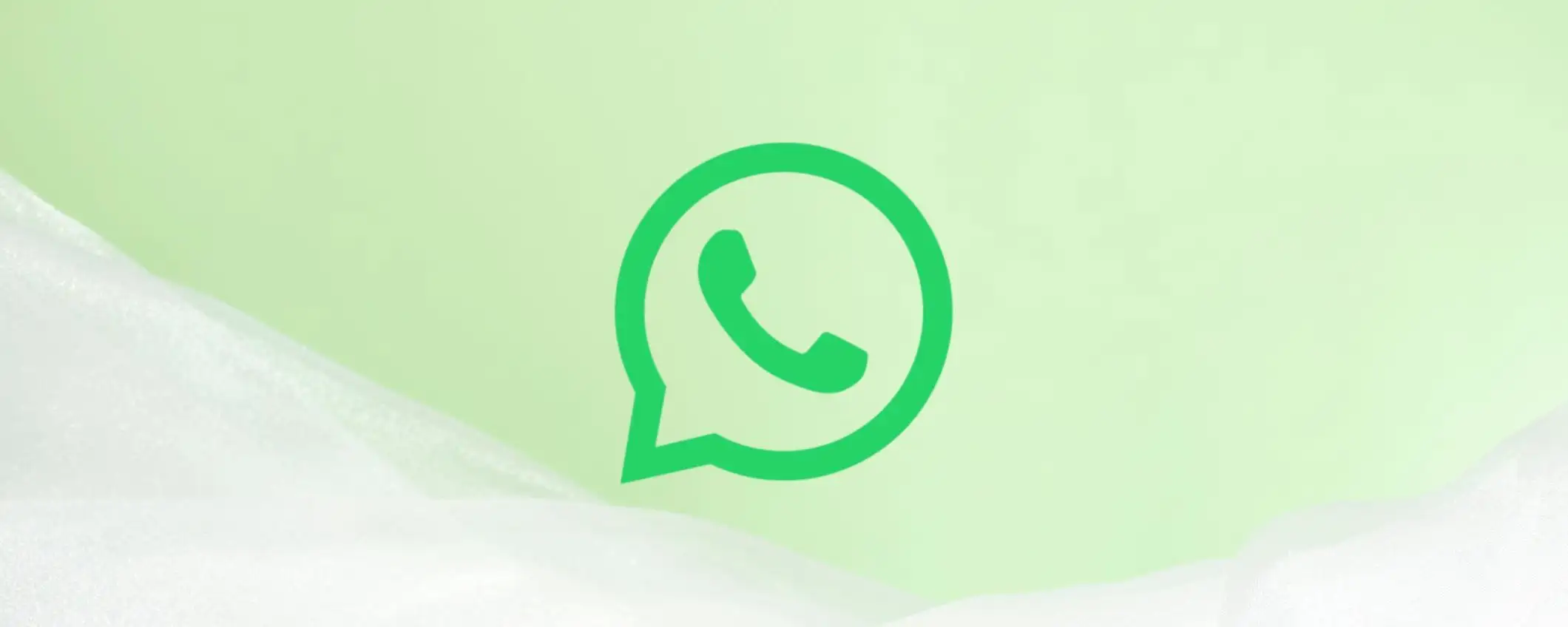 WhatsApp计数器：提升团队协作效率的秘密武器