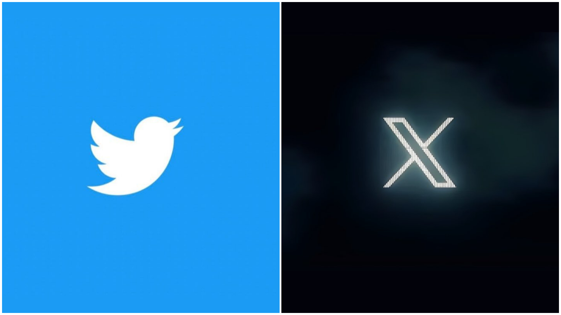 Twitter筛号系统：通过精准的用户画像，提升营销效率