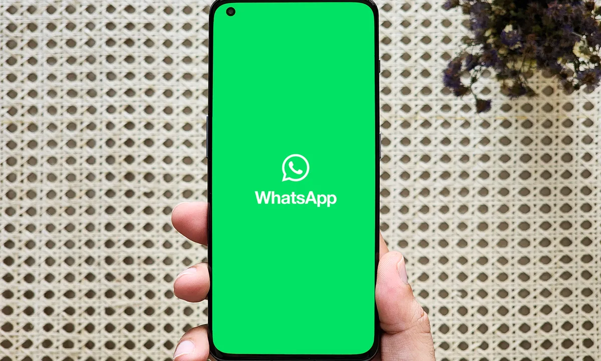 WhatsApp群控系统：企业增长引擎，高效获客新策略