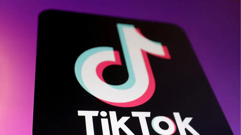 TikTok云控软件:赋能企业规模化营销新引擎 TikTok云控软件:赋能企业规模化营销新引擎